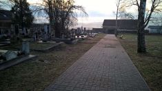 Zeleň hřbitov Dražická