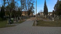 Zeleň hřbitov Dražická