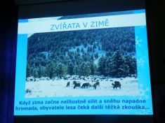 Zvířátka v zimě MŠ Mateřídouška