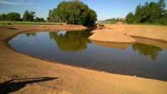 Revitalizace nivy řeky Jizery