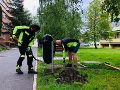 Výsadba živých plotů, sídliště, Platanová ulice